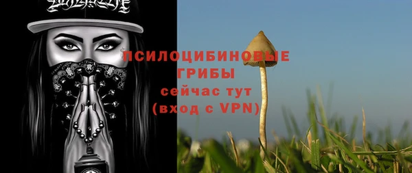 гидра Арсеньев