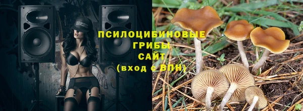 гидра Арсеньев