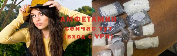 гидра Арсеньев