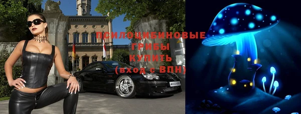 гидра Арсеньев